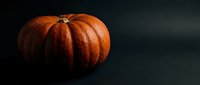 Orange pumpkin on dark background for autumn harvest decoration, Halloween design, seasonal cooking and fall holiday celebrations.