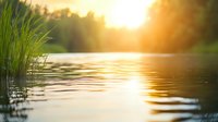 Tranquil lake at golden sunset with reed grass silhouette and gentle ripples on water surface creating peaceful nature atmosphere for meditation background.