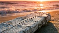 Weathered driftwood log rests on sandy shore at sunset, with golden waves and ocean horizon in soft focus background. Coastal landscape for travel and nature designs.