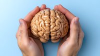 Human hands gently holding anatomical brain model against light blue background, demonstrating care and protection of mental health and neuroscience concepts.