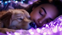 Young woman sleeping peacefully with golden retriever dog on bed with purple bokeh lights creating magical dreamy atmosphere. Pet companionship and relaxation concept.
