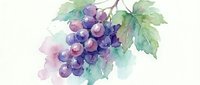 Watercolor grape cluster with green leaves on white background, fresh fruit illustration for wine, food and beverage designs, organic farming concepts.