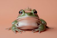 Green frog wearing a tiny gold crown poses regally against a soft peach background, evoking fairy tale charm for creative projects.