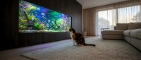 Young woman with long dark hair, wearing casual clothing, kneeling on a neutral carpet while observing a large illuminated aquarium display mounted on a dark wall in a modern living room with contemporary furniture and natural light from windows.