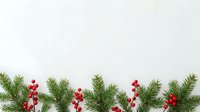 Evergreen branches with red berries arranged on white background for holiday and seasonal decorative projects.