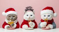 Three adorable cats dressed in festive holiday outfits celebrate the season. Left cat wears red Santa suit with white fur trim and gold bow. Center cat sports Happy New Year tiara with red and white outfit. Right cat dons red Santa hat with matching red and gray ensemble. All three felines display sweet expressions against soft pink background.