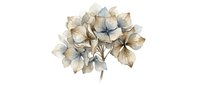 Dried hydrangea flower cluster with delicate beige and gray petals isolated on white background, suitable for floral arrangements, botanical designs, and decorative projects.