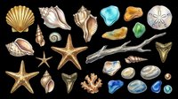 Colorful sea beach collection with shells, starfish, stones, coral, driftwood and shark teeth, isolated on transparent background, ready for clipart, stickers, t-shirt design.