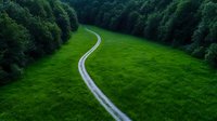 Winding dirt road curves through vibrant green meadow surrounded by dense forest, aerial view capturing natural landscape and solitary path in wilderness.