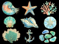 Nautical sea life collection featuring isolated marine elements including nautilus shell, starfish, coral, seashell, conch, sand dollar, fan coral, anchor, and sea glass stones on transparent background. Ready for t-shirt design, clipart, stickers, sublimation, and print-on-demand projects.
