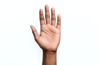 Open palm of African American person showing hand gesture against white background, isolated cutout for design and commercial use.