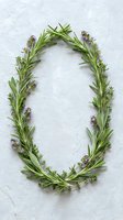 Fresh herb wreath made of rosemary and lavender sprigs arranged in oval shape on white textured background for culinary and aromatherapy applications.
