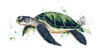 Sea turtle swimming with watercolor splashes and coral elements on white background. Marine life artwork for ocean conservation projects and educational materials.