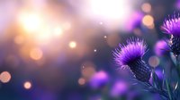 Purple thistle flower against blurred golden bokeh background with magical evening light and glowing particles creating dreamy natural atmosphere.