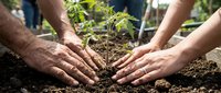 Hands protecting young plant seedling in soil, symbolizing growth, care, environmental protection, teamwork, and nurturing nature together.