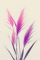 Delicate pink and purple feathery grass plumes against cream background, creating soft botanical silhouettes with graceful stems and ethereal movement.