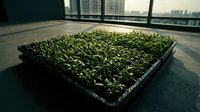Green seedlings growing in black plastic tray on urban rooftop with city skyline view, sustainable agriculture and urban farming concept for environmental projects.