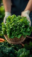 Fresh organic kale leaves in wicker basket held by gardener wearing gloves, dark moody lighting with natural garden background, selective focus on crisp greens.