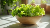 Fresh green lettuce leaves in wooden bowl on windowsill with natural sunlight casting soft shadows, healthy organic food styling for restaurant menu and cooking.