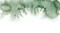 Soft green watercolor paint splashes and drips creating organic flowing patterns on white background for artistic design projects.