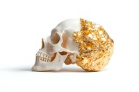 White human skull with gold leaf decoration on back portion against clean white background, symbolizing luxury and mortality.