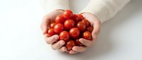 Fresh red cherry tomatoes cupped in hands on white background. Organic healthy vegetables for cooking, salads and nutrition concepts.
