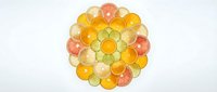 Colorful citrus fruit slices arranged in circular mandala pattern on white background. Fresh orange lemon lime grapefruit rounds create vibrant geometric design.