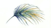 Watercolor palm leaf in soft blue, green, and golden tones, isolated on white background. Suitable for botanical designs, home decor, and digital projects.