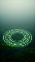 Glowing neon oval rings float above misty forest canopy in aerial view, creating surreal geometric light pattern against dense green vegetation and fog for contemporary art projects.