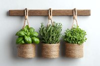 Fresh herbs growing in rustic twine-wrapped pots hanging from wooden rack against white wall, featuring basil, rosemary and parsley in natural arrangement.