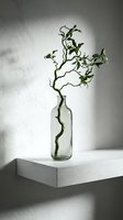 Minimalist botanical arrangement featuring twisted green branch with fresh leaves in clear glass bottle on white wooden platform against neutral wall with natural light casting shadows.