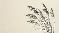 Delicate ornamental grass stems with feathery plumes swaying gracefully against a soft neutral background, suitable for botanical designs and natural decor projects.