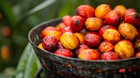Fresh ripe coffee cherries in dark basket, mix of red and yellow arabica coffee berries with natural green leaves background, selective focus macro shot.