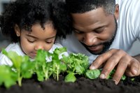 African American father and daughter examining young seedlings growing in soil, sharing gardening experience together in educational moment.