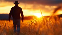 Silhouette of male farmer walking through golden wheat field at sunset, dramatic orange sky and sun rays illuminating cereal crops in rural countryside.