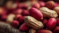 Mixed nuts and legumes collection featuring peanuts in shells and red kidney beans scattered together creating natural organic food background for healthy eating concepts.