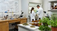 Two scientists in white lab coats working together in modern laboratory with plants and chemical formulas on wall for pharmaceutical research.