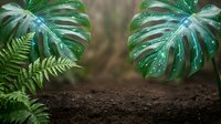 Lush tropical monstera leaves and fern fronds creating natural frame over rich dark soil ground in rainforest environment for botanical design projects.
