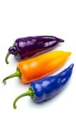 Three vibrant chili peppers in purple, orange, and blue arranged diagonally on white background. Isolated produce for culinary, food styling, and recipe design projects.