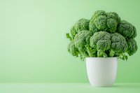 Fresh green broccoli florets arranged in white ceramic pot against mint green background, minimalist food composition for healthy eating concept.