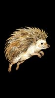 Adorable hedgehog illustration isolated on transparent background, ready for t-shirts, stickers, clipart, print-on-demand products and sublimation designs.
