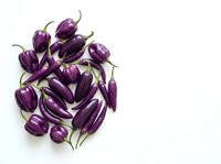 Isolated fresh purple eggplants with green stems arranged on white background, suitable for food packaging, recipe blogs, and culinary design projects.