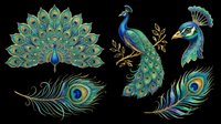 Peacock bird with fanned tail feathers, isolated on transparent background. Includes full-body poses and individual feather details. Ready for t-shirt design, clipart, stickers, sublimation, and print-on-demand projects.