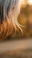 Close-up of woman's flowing brown hair illuminated by warm golden sunlight creating natural highlights and soft bokeh background for beauty concepts.