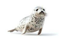 Spotted harbor seal pup isolated on white background, looking directly at camera with expressive eyes and spotted gray coat. Marine wildlife photography.