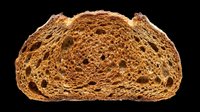 Whole wheat bread slice with visible air pockets, isolated on transparent background. Ready for culinary design, food packaging, recipe graphics, menu illustrations, print-on-demand products and digital food content.