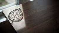 Leaf skeleton imprint on wooden surface with natural light casting shadow, suitable for nature, botanical, and artistic design projects.