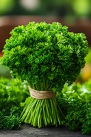 Fresh green parsley bunch tied with twine string on dark surface, macro food photography with soft natural lighting and blurred background.