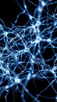 Blue glowing neural network connections with synapses firing in brain tissue for medical research and neuroscience educational materials.