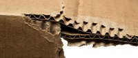 Torn cardboard edge with wavy corrugated pattern revealing layered kraft paper structure, suitable for packaging design, recycling concepts, and material texture backgrounds.